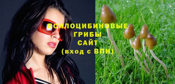 каннабис Арсеньев