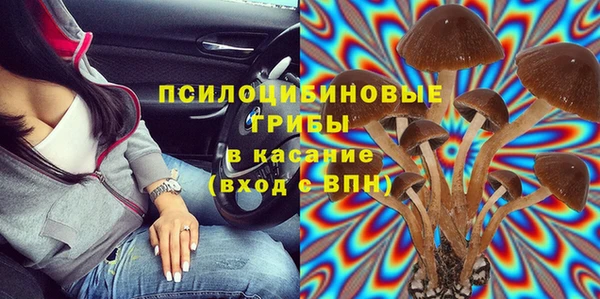 винт Аркадак