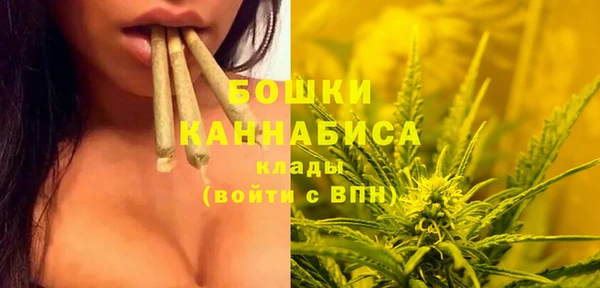 винт Аркадак